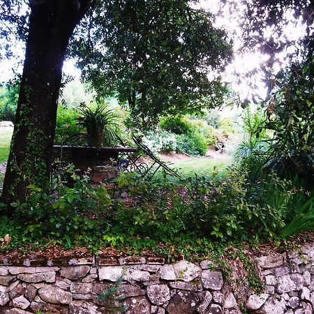 Country house La Loggetta - Chianti
