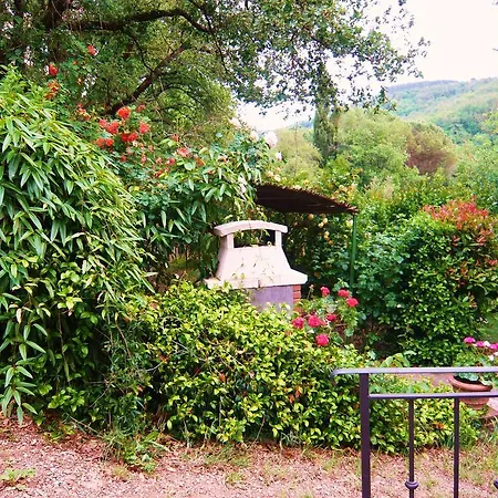 Country house La Loggetta - Chianti *