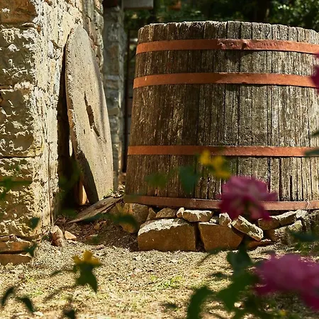 Country house La Loggetta - Chianti Gaiole in Chianti